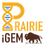 Prairie iGEM logo